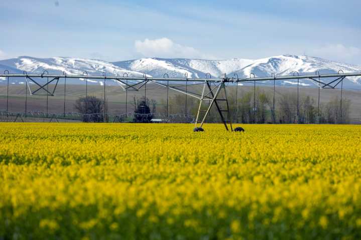 Slate of bills to modernize Oregon water laws await votes in final month of session