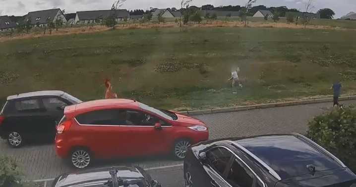 Heart-stopping moment Edinburgh driver 'just misses' kids crossing near playground
