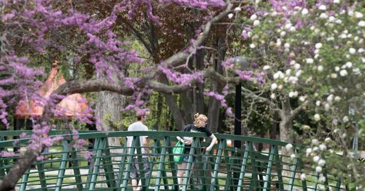 No weather extremes in an average May in Waterloo Region