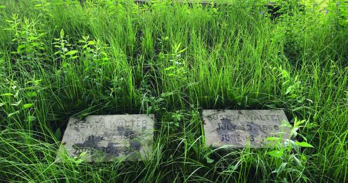 About South County: Forgotten gravestones offer stark reminder life’s stories fade with time
