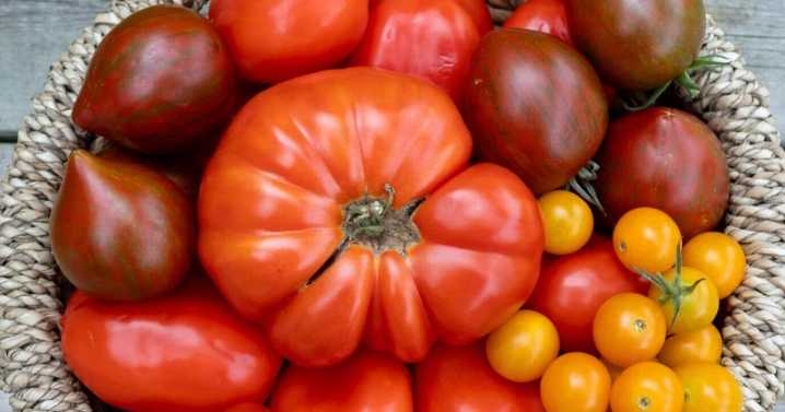 5 ways to create more garden joy