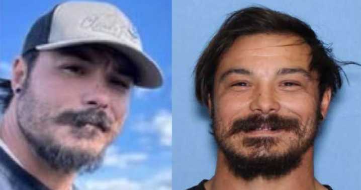Three sisters who disappeared during 'planned visitation' with father found dead in Washington