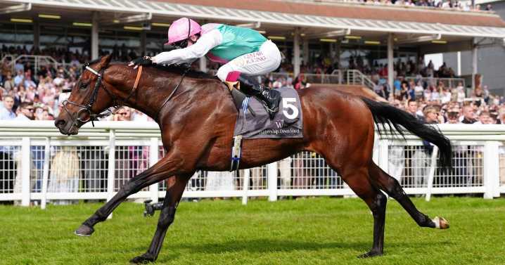 Balding contemplating Commonwealth challenge for Jonquil