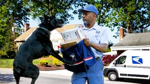 NC makes list of states with most dog attacks against…