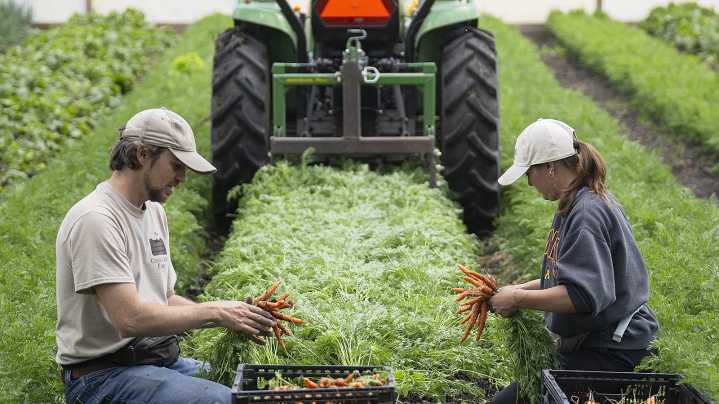 Farmers in Minnesota impacted by Trump food aid cuts