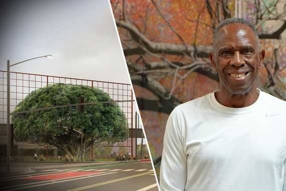 Culver City to Frame Iconic Tree with Landmark Sculpture by Charles Gaines