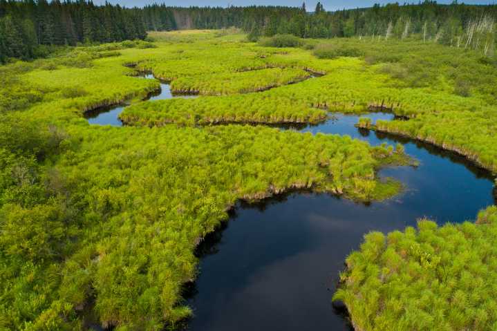 Wisconsin GOP lawmakers float bill to reauthorize the stewardship program