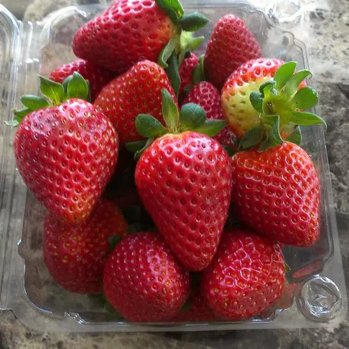 Cold weather delays strawberry season