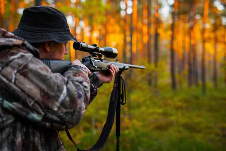 Think Twice About Carrying A Gun In A National Park