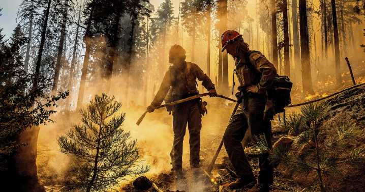 She became a ‘hotshot’ wilderness firefighter to write about being on the front lines