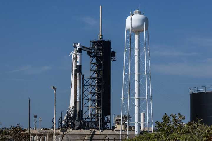 Musk da un paso para hacer las paces con Trump y el presidente lo descarta