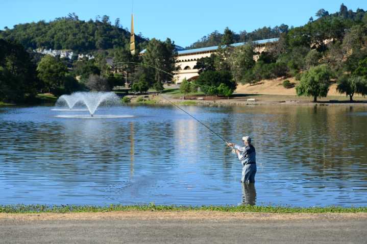 Editorial: County’s costly new executive form of government needs to deliver