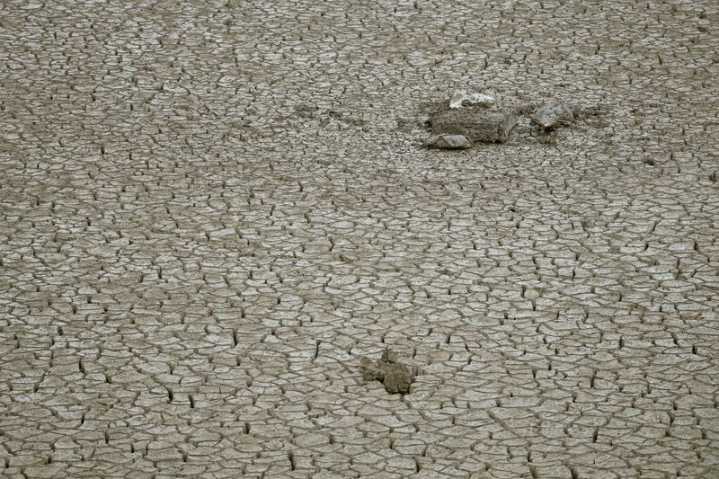 Drought bakes China's wheat belt, slashing harvests for some