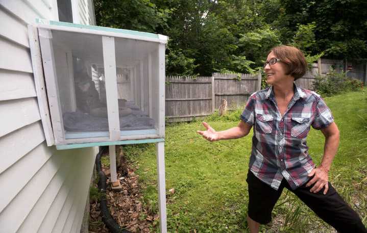 You probably didn’t know it, but your cat needs a catio this summer