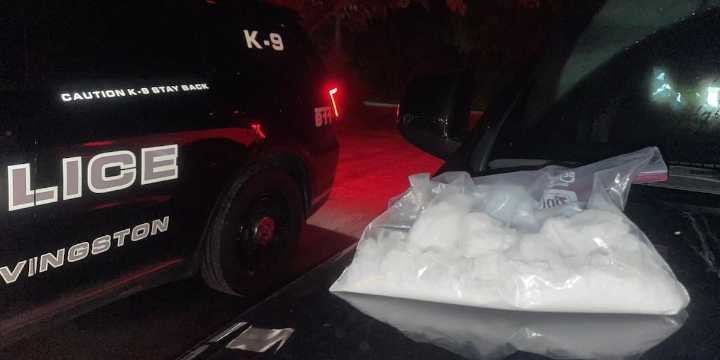 Drug bust yields pound of meth, 3 arrests in Polk County