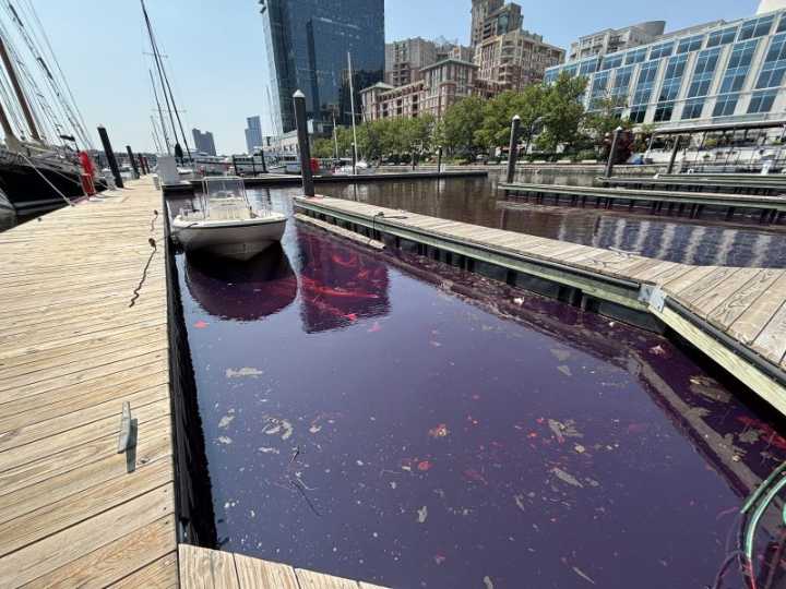 Cleanup underway after 2,000 gallons of diesel fuel leaks into Baltimore's harbor