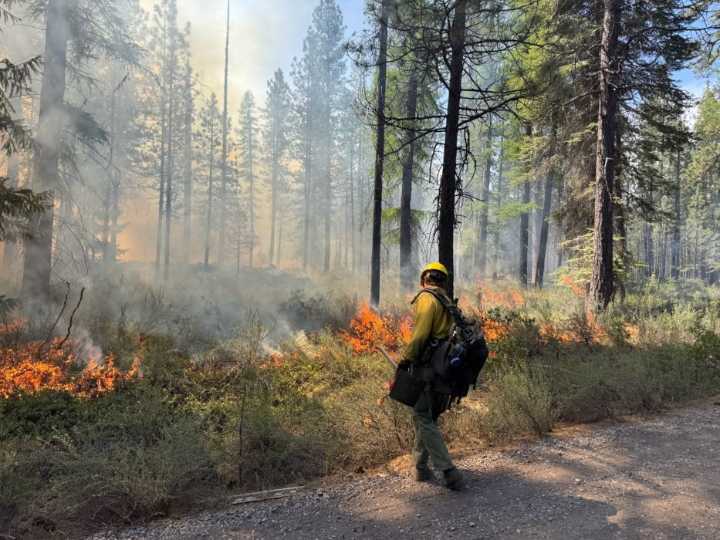 Deschutes National Forest plans three-acre burn west of Sunriver for field training