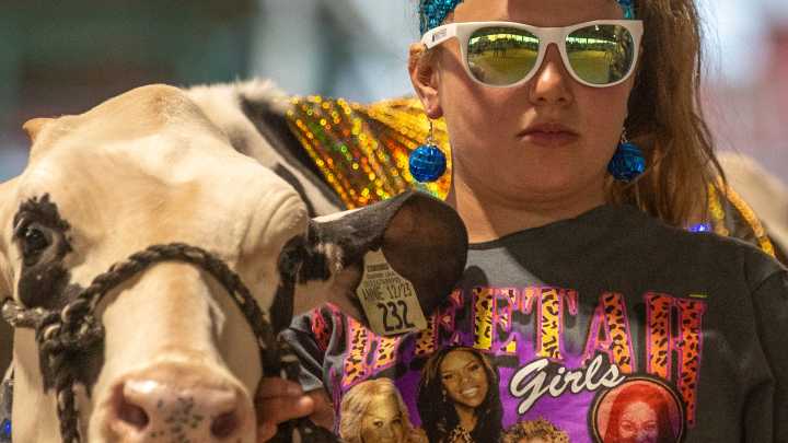 7 events you don't want to miss this summer in the…