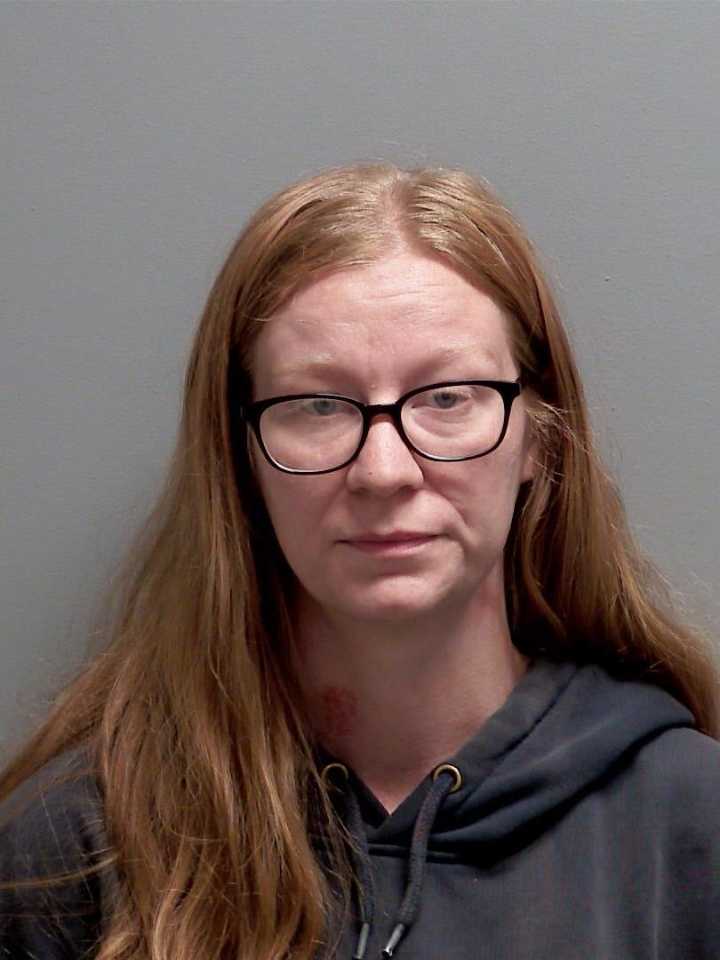 Mesick woman arrested for alleged child abuse