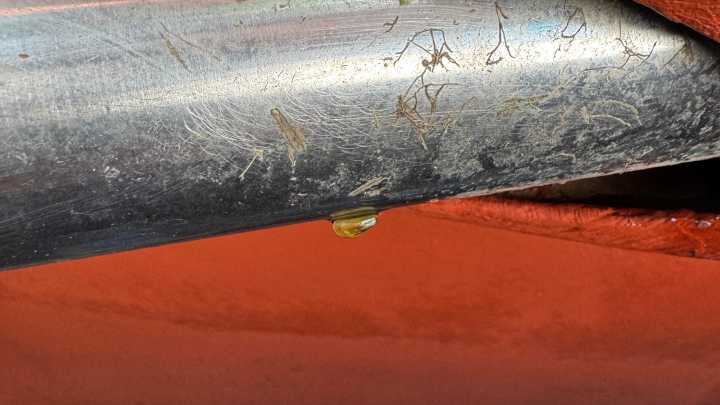 Lake Tahoe inspectors find invasive species on boat