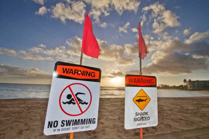 Aggressive 8-foot shark prompts warning signs at Makaha Beach
