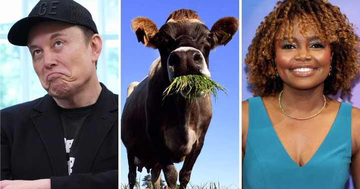 Who called the GOP megabill a 'disgusting abomination'? Find out in the quiz