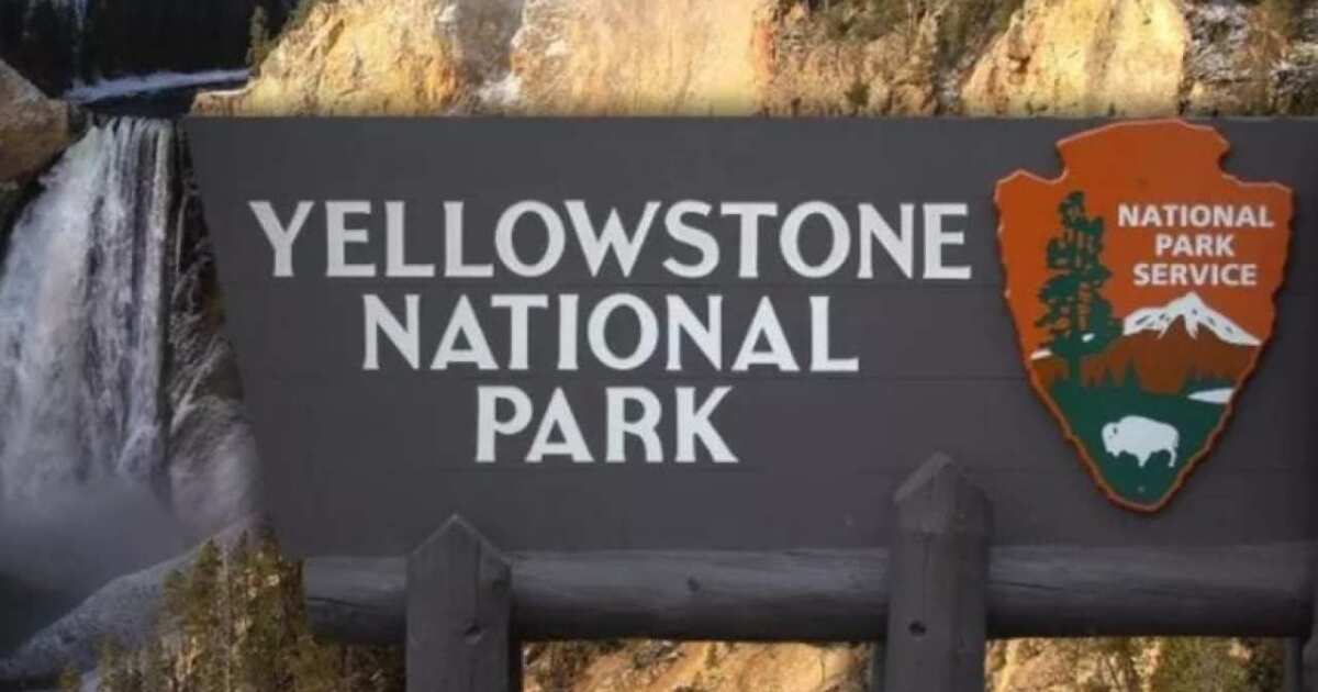 Man injured by bison in Yellowstone National Park