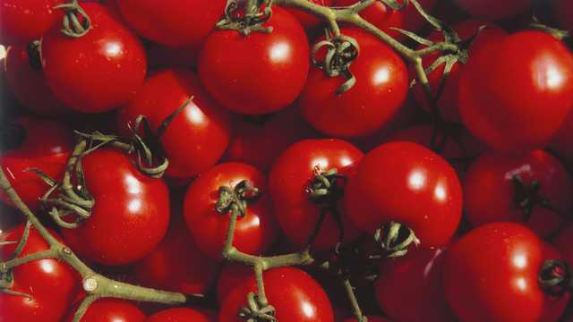 Major tomato recall now classified as deadly, according to FDA