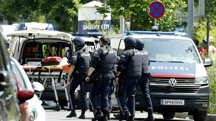Former pupil kills nine, then himself in shooting at Austrian school
