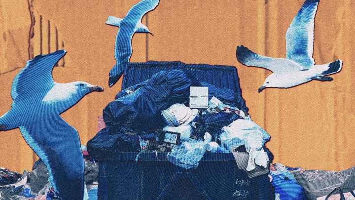 Ford government proposes major rollback of Blue Box recycling rules