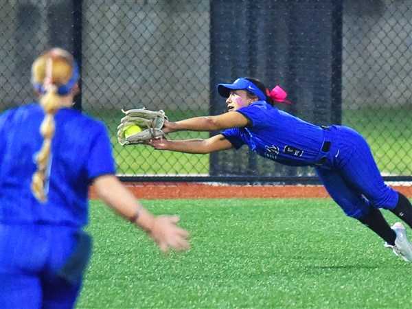 Dover defeats Springfield in D-III softball final