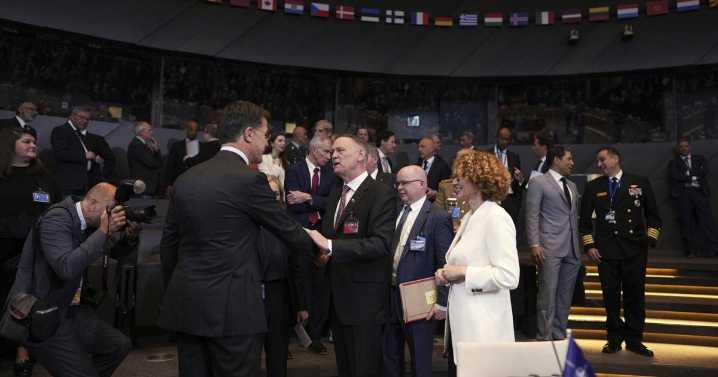 Minister says Ottawa reviewing defence spending 'top to bottom' ahead of NATO summit