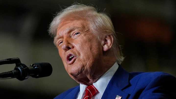 Trump pardons Florida shark divers convicted of theft