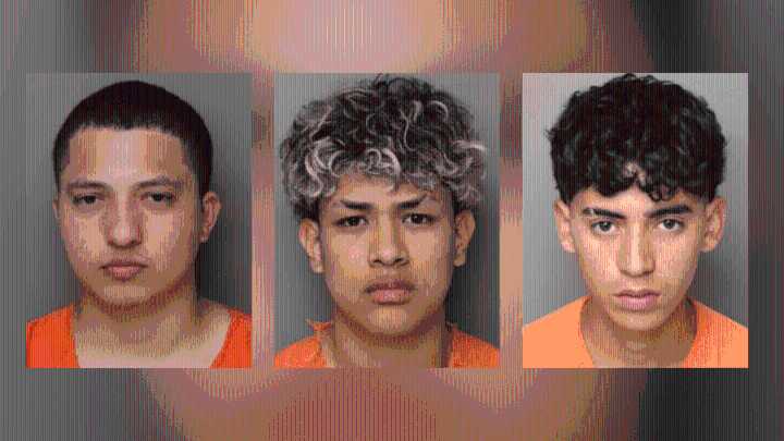 Six illegal migrants charged in murder of S.C. woman: 'defies any sense of decency'