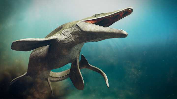 Scientists Shocked By Giant Prehistoric "Sea Monster" Discovered In A Surprising State