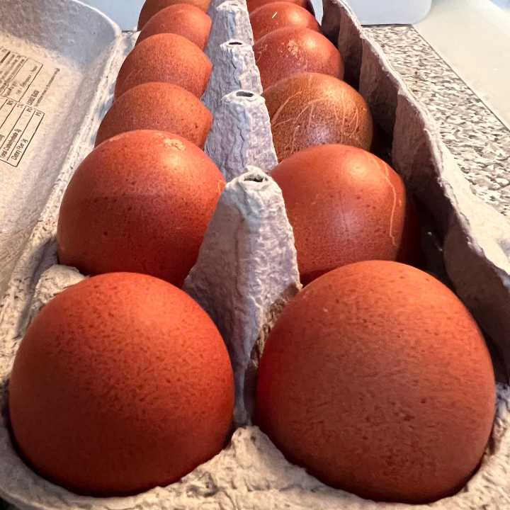 Salmonella outbreak tied to eggs sickens dozens in Washington and 6 other states