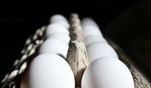 Salmonella outbreak tied to eggs sickens dozens across 7 states