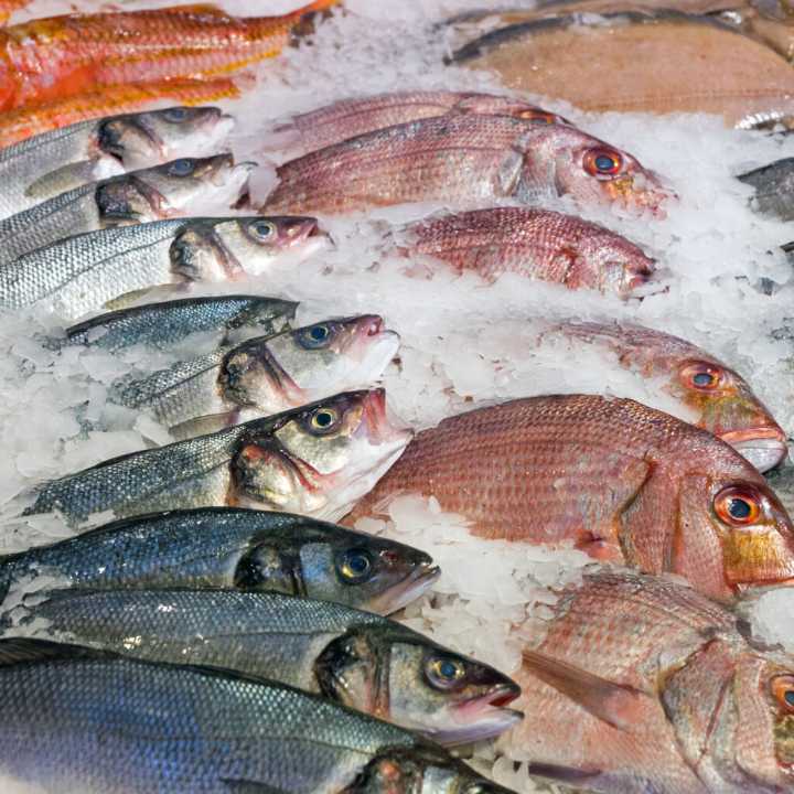 Fish & Farm Market Season to Begin at Boston Fish Pier