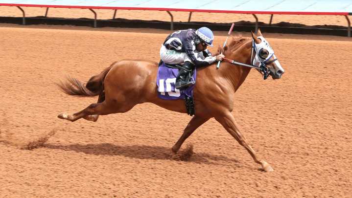 What to know about the 2025 Ruidoso Futurity and Ruidoso Derby horses