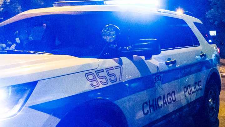 Dog shot during Chicago home invasion