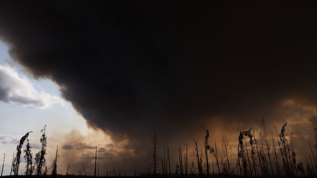 Evacuation orders issued in B.C.'s Peace River due to Pocket Knife Creek wildfire