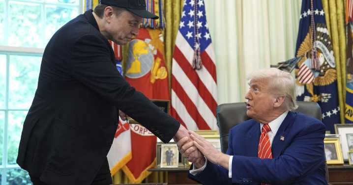 Republicans urge Donald Trump and Elon Musk to end their feud