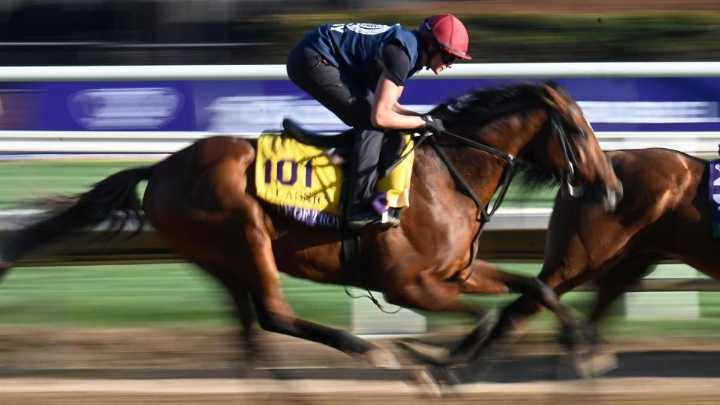 Belmont Stakes 2025 predictions, odds, picks, time, horses: Best bets from expert who hit Kentucky Derby