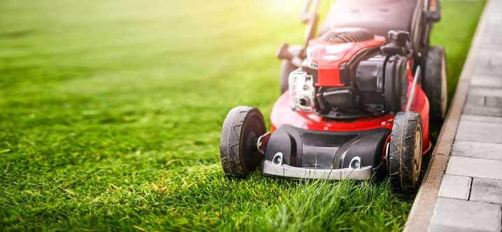 Unlocking Life Basics: All about lawn maintenance