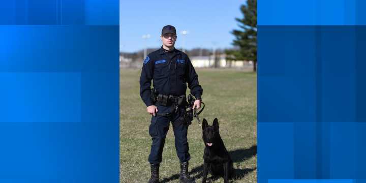 K-9 Thor back on duty after emergency medical treatment