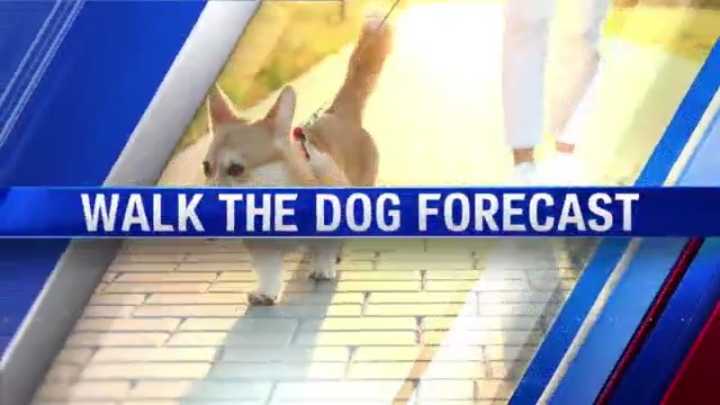Walk-The-Dog Forecast June 2, 2025