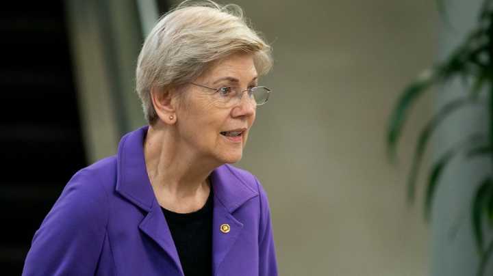 Democrats call for halt of Fannie Mae, Freddie Mac privatization