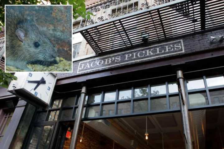 Jacob's Pickles shut down over NYC health inspection