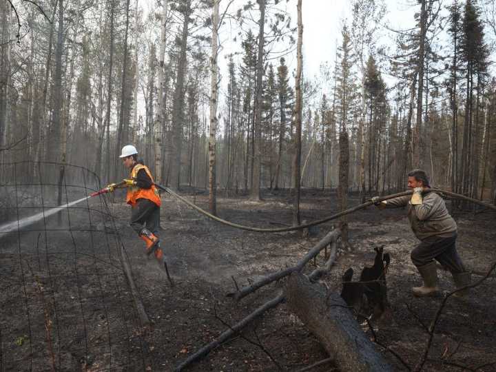 Saskatchewan premier says two people charged with starting wildfires