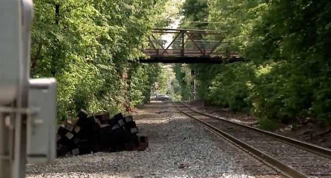 Family remembers woman struck, killed by train in New Hampshire while trying to get dog off tracks